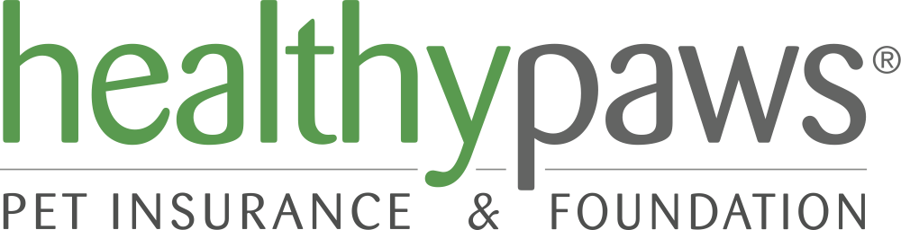 Pet Insurance For Dogs Cats Rated Best Plan Healthy Paws