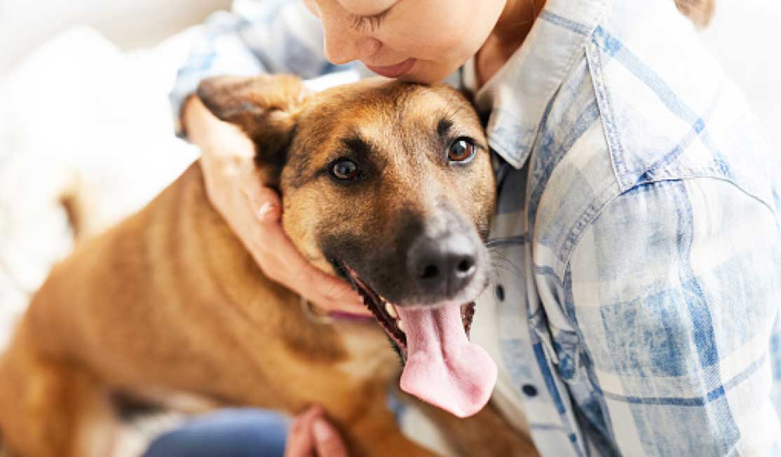 Refer Your Friends And We'll Donate to Homeless Pets