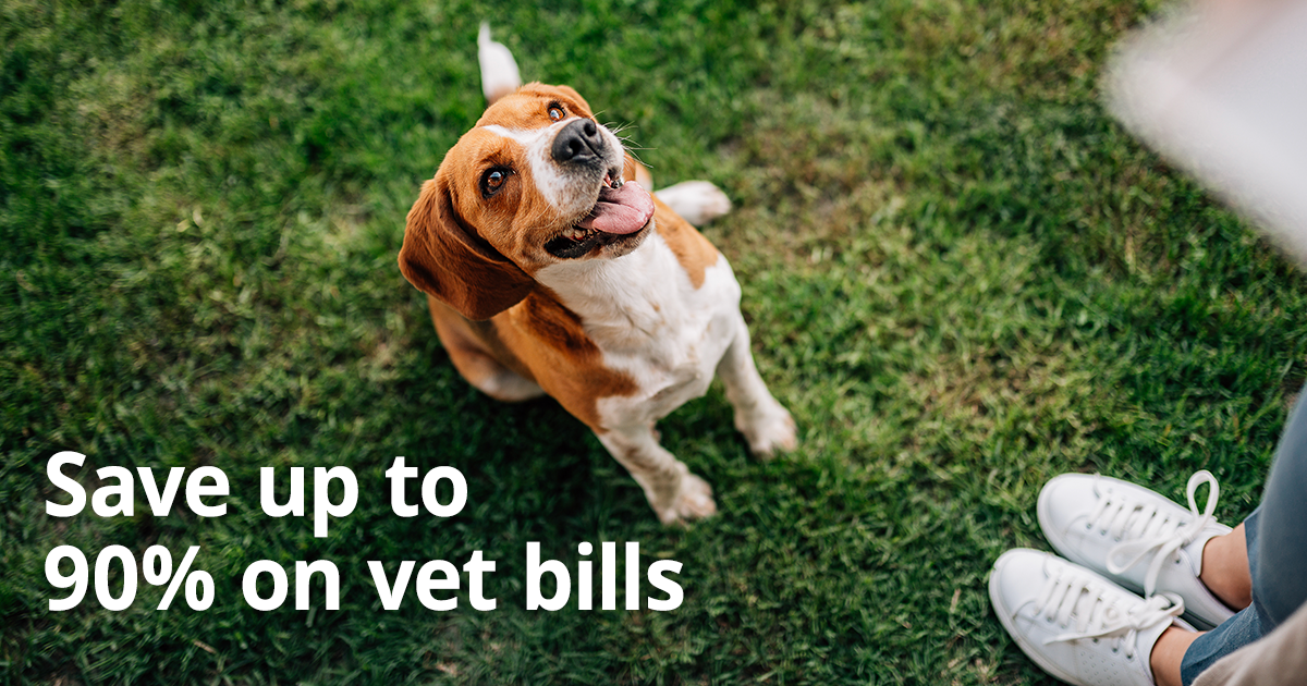 Healthy Paws Pet Insurance Referral Program