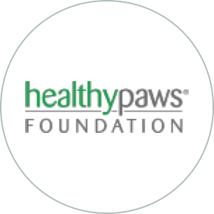 The Healthy Paws Foundation